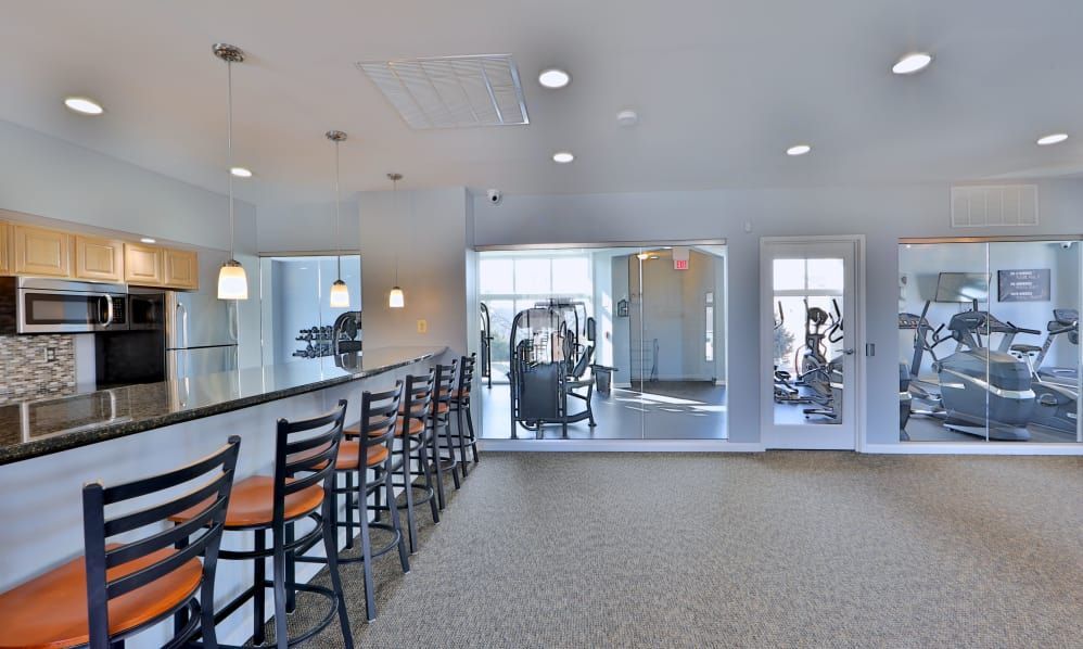 Bright gym with mirrors, treadmills, and a row of orange-and-black chairs by a counter.