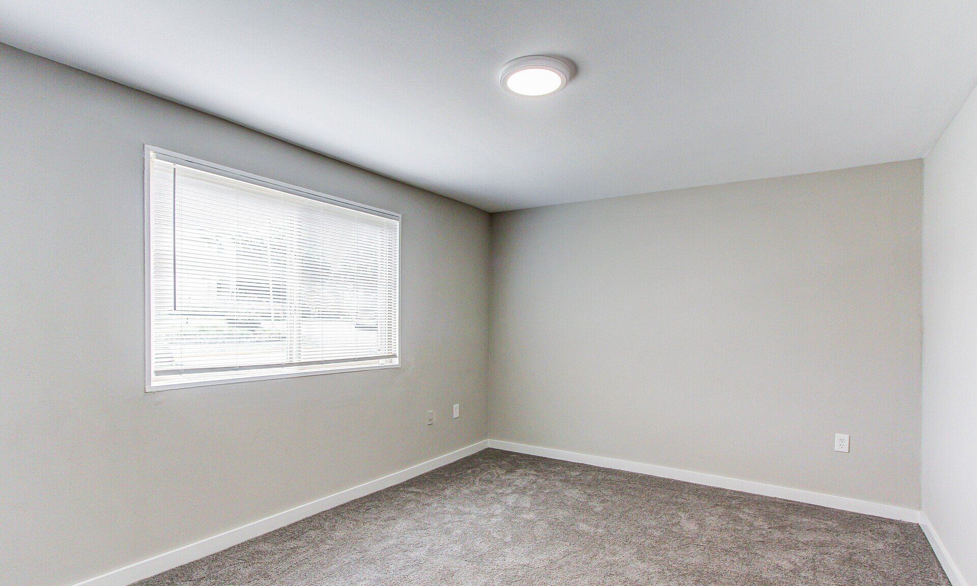 Empty beige bedroom with carpet, a window blind, and a ceiling light fixture.