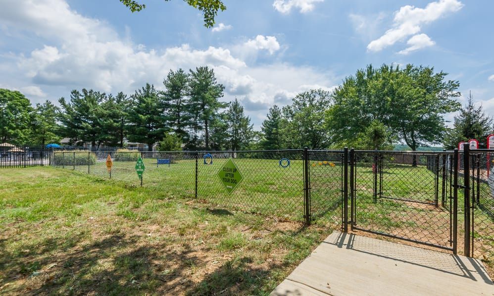 Chain-link gate opening onto a grassy park with picnic tables and trees under a blue sky