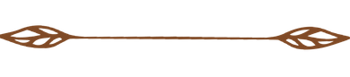 Brown line with leaf-shaped ends.