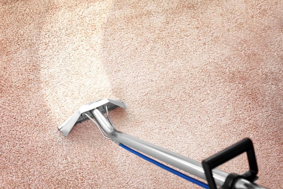 A Person Is Cleaning A Carpet With A Vacuum Cleaner — Wyong Commercial Cleaning In Gosford, NSW