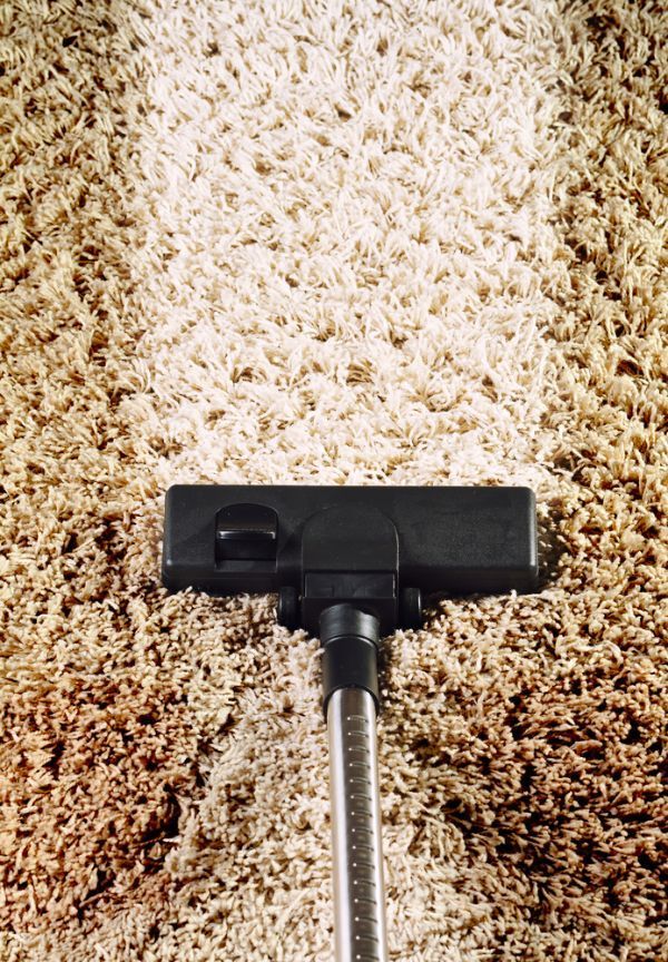 Cleaning Green Carpet — Wyong Commercial Cleaning In Tuggerah, NSW