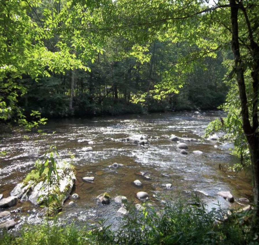 Cabin Rental Townsend, TN