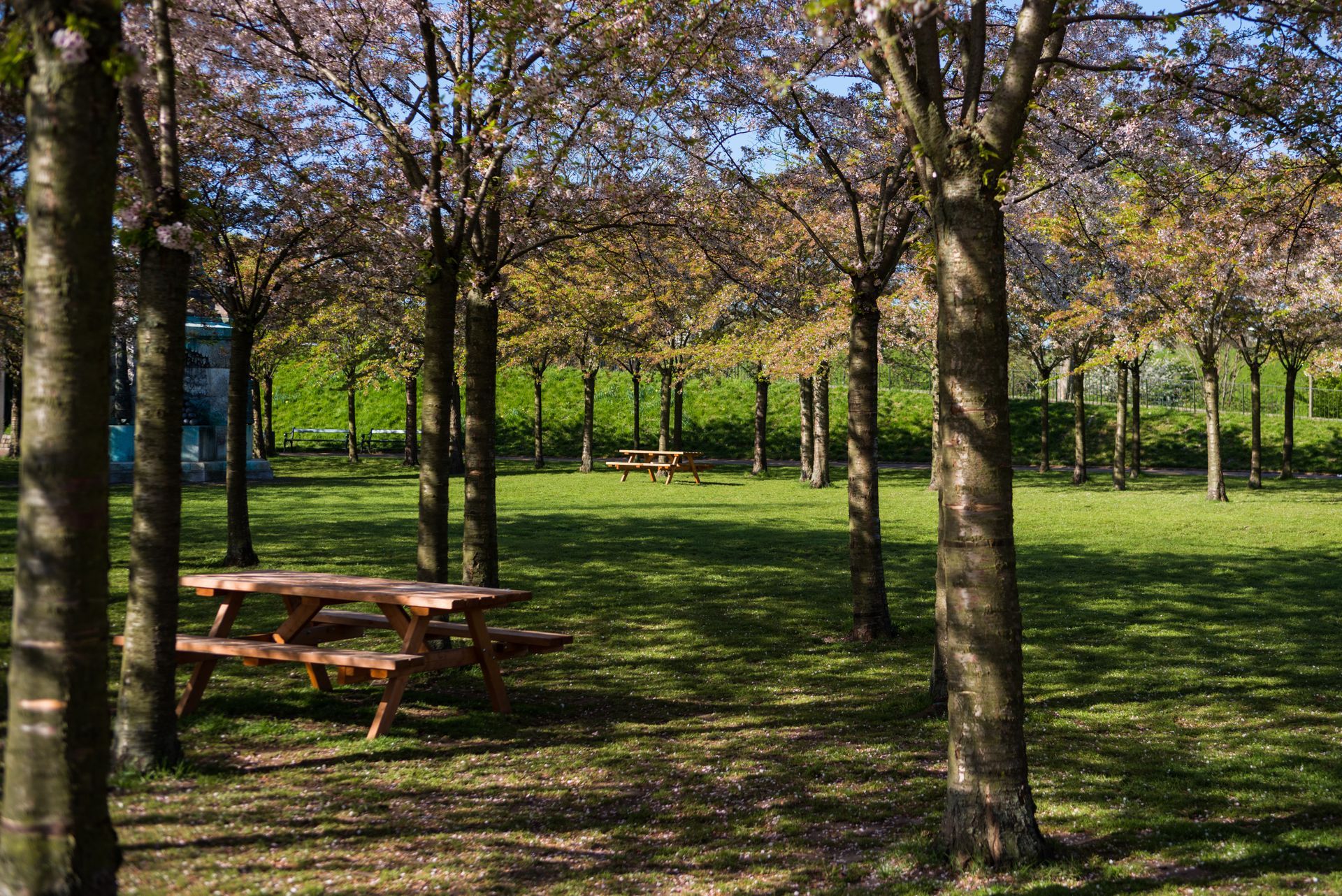 A picnic table in a park surrounded by trees