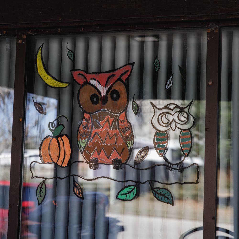 Two owls are sitting on a branch with a pumpkin and leaves.