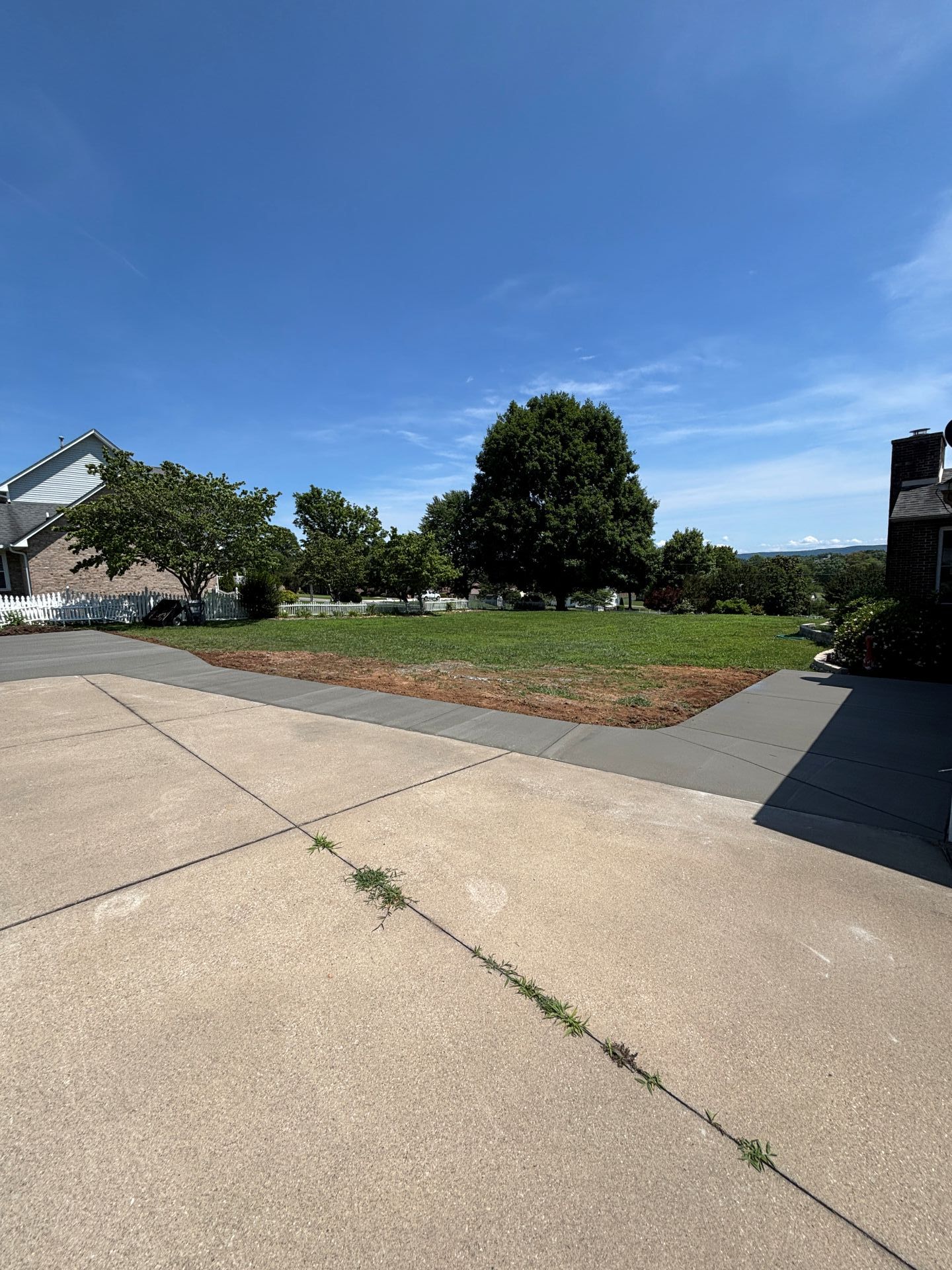 Suburban front yard with a large tree, flower bed, concrete driveway, and blue sky.
