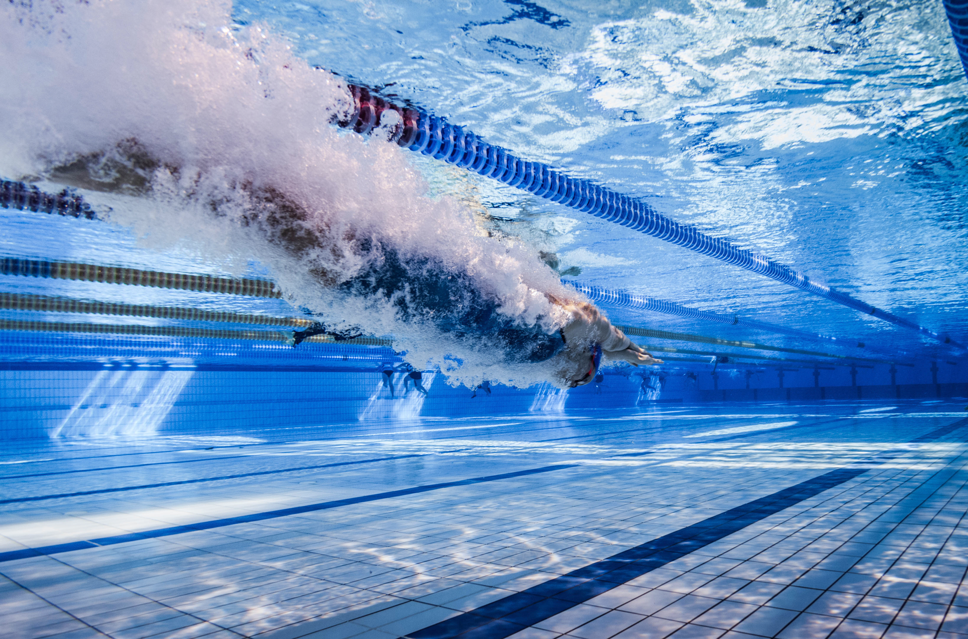 Olivia Adams swimming. Photo by Keiran Qaium