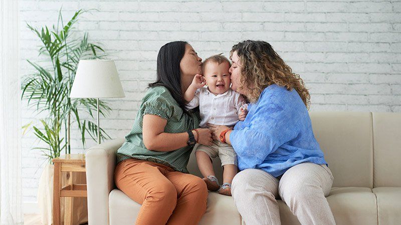 Same Sex Family Law