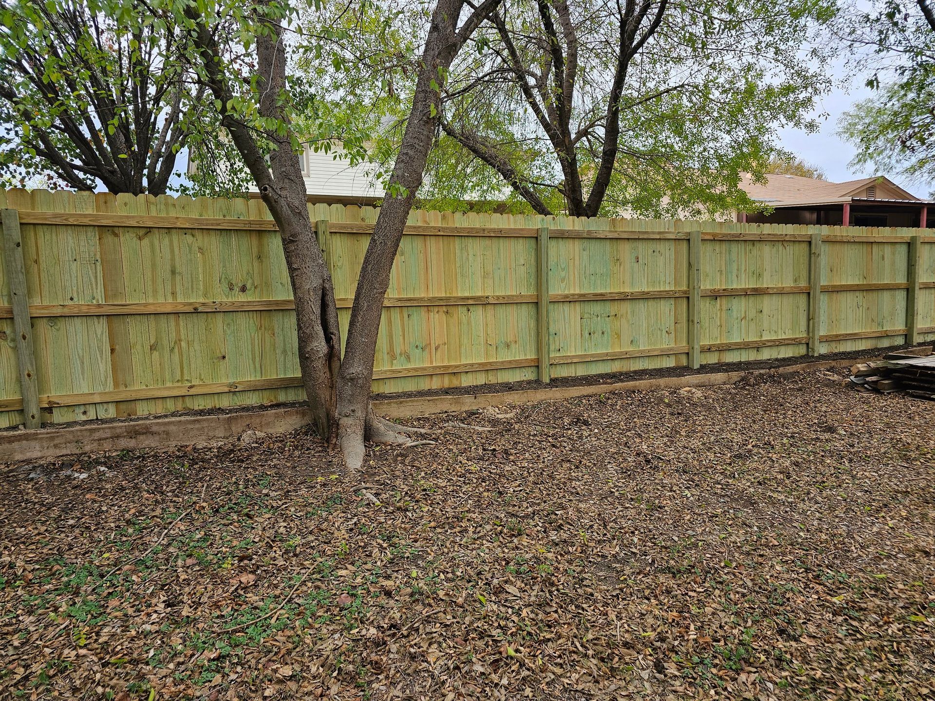 Wooden fence in a backyard, with a tree in front of it.
