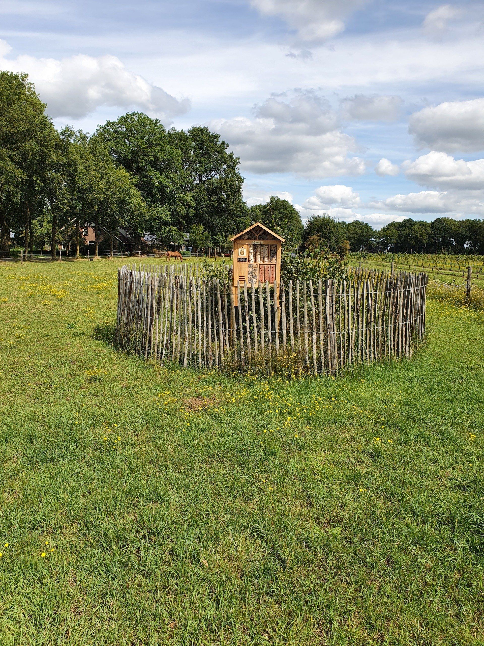 Een bijenhuis, omgeven door een houten hek, in een grasveld, onder een bewolkte hemel.
