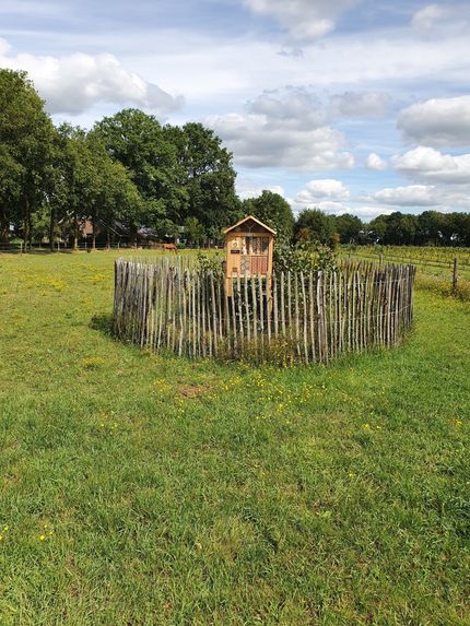 Een bijenhuis, omgeven door een houten hek, in een grasveld, onder een bewolkte hemel.