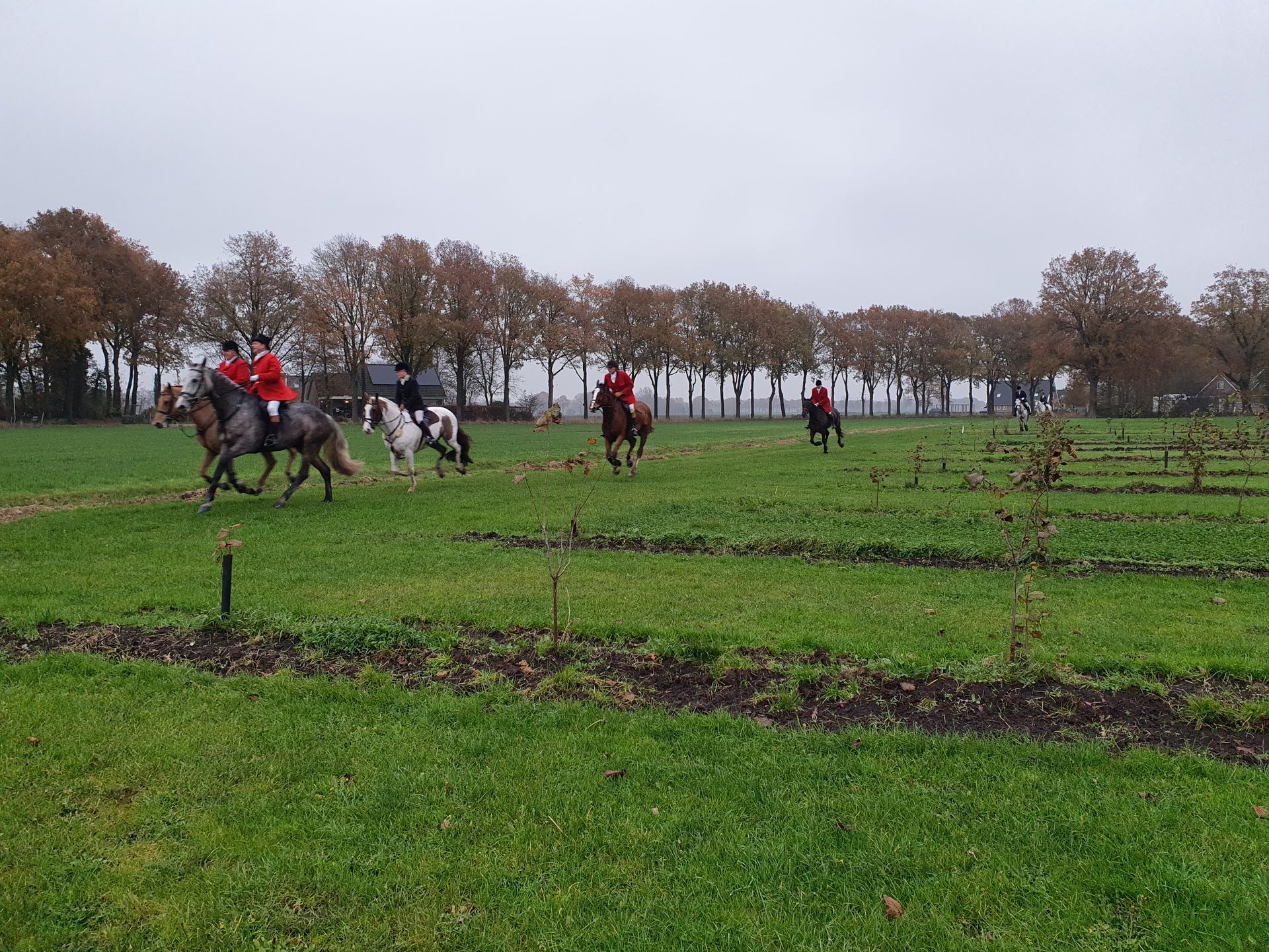 Vier ruiters te paard in een veld; drie dragen rode jassen. Op de achtergrond staan ​​bomen onder een bewolkte hemel.
