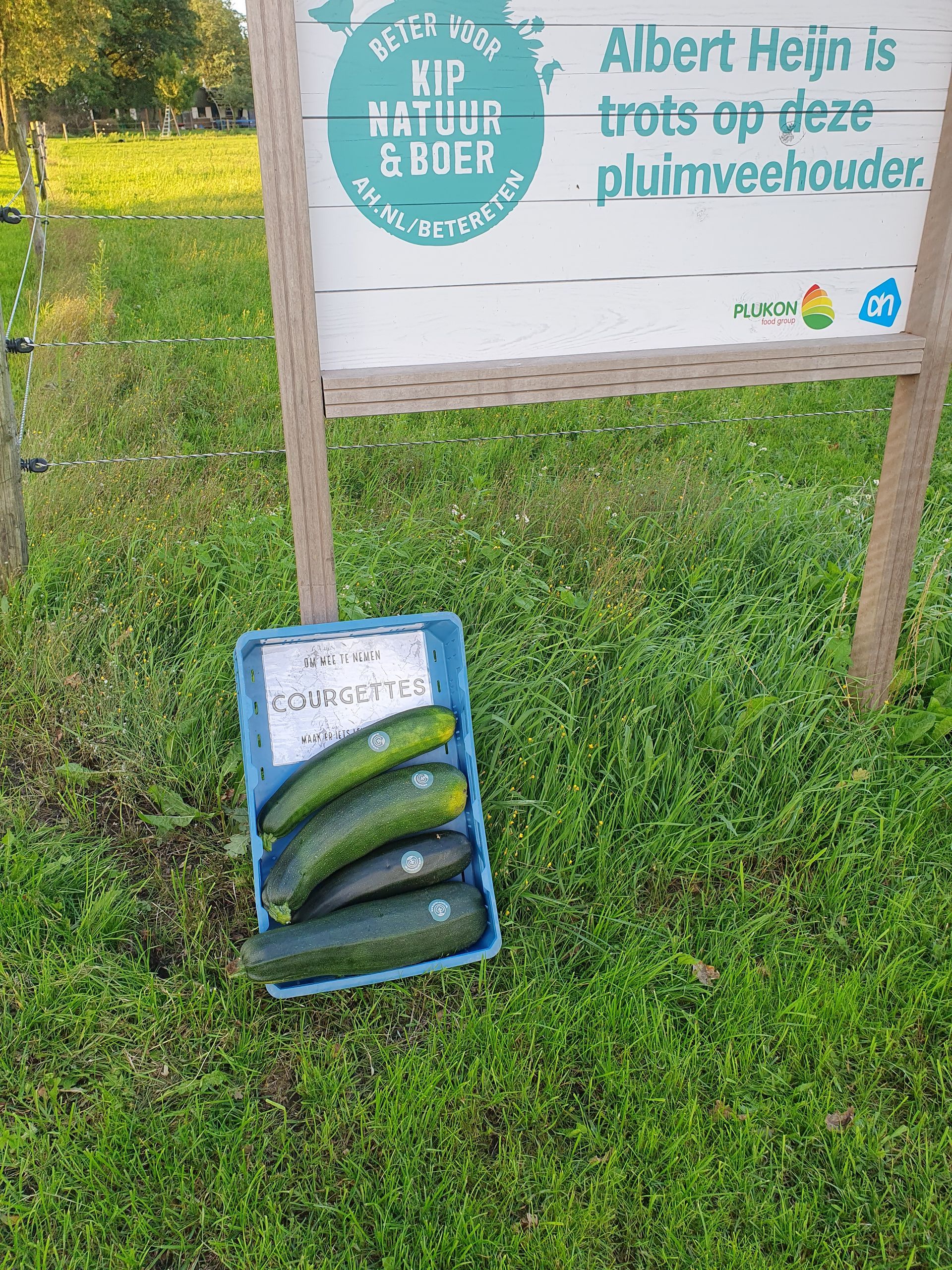 Courgettes in een blauwe krat op het gras naast een bord van een pluimveefarm; Albert Heijn is de sponsor.