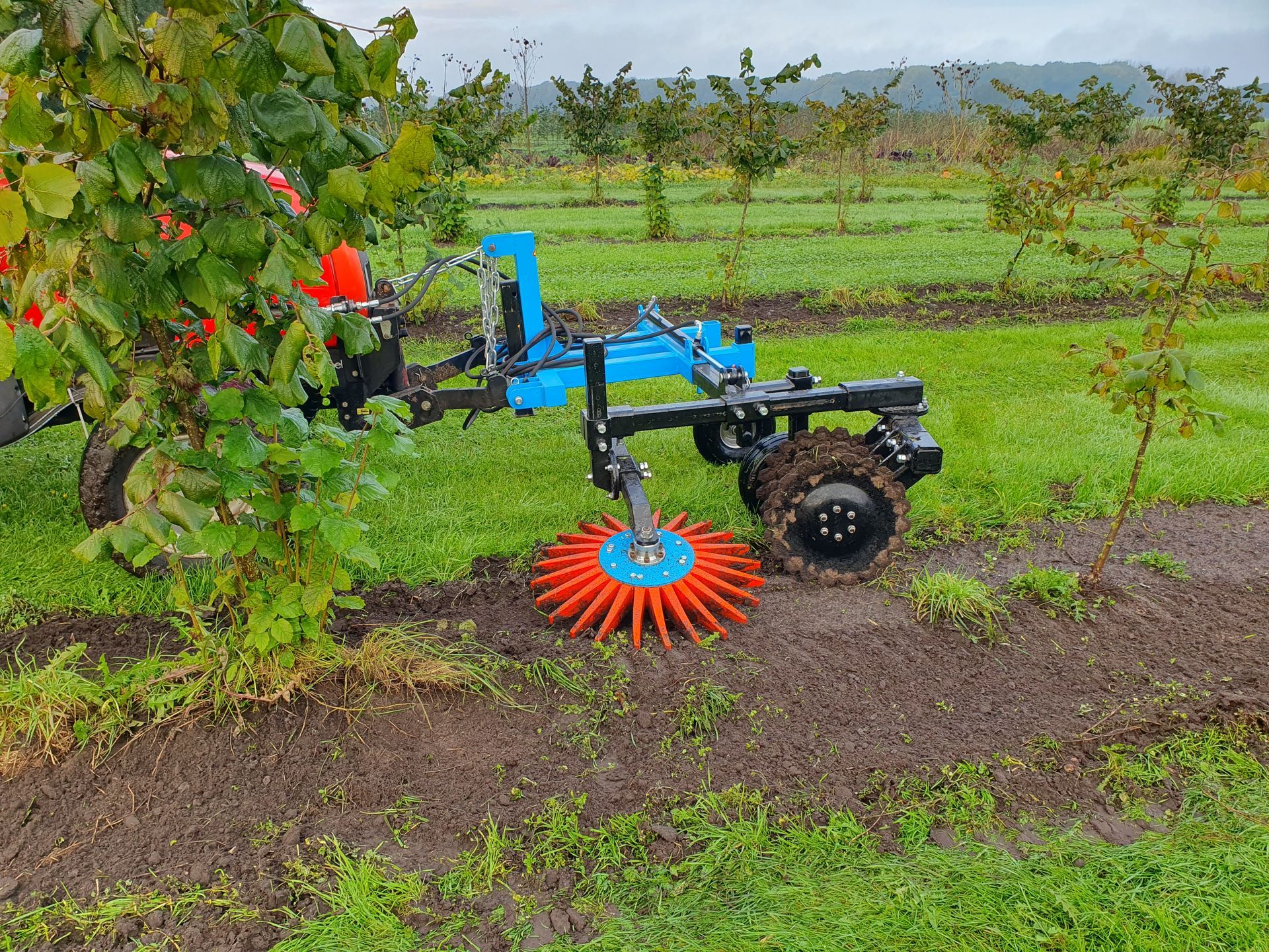 Tractor met blauwe arm en rode borstel die tussen de rijen planten in een veld ploegt.
