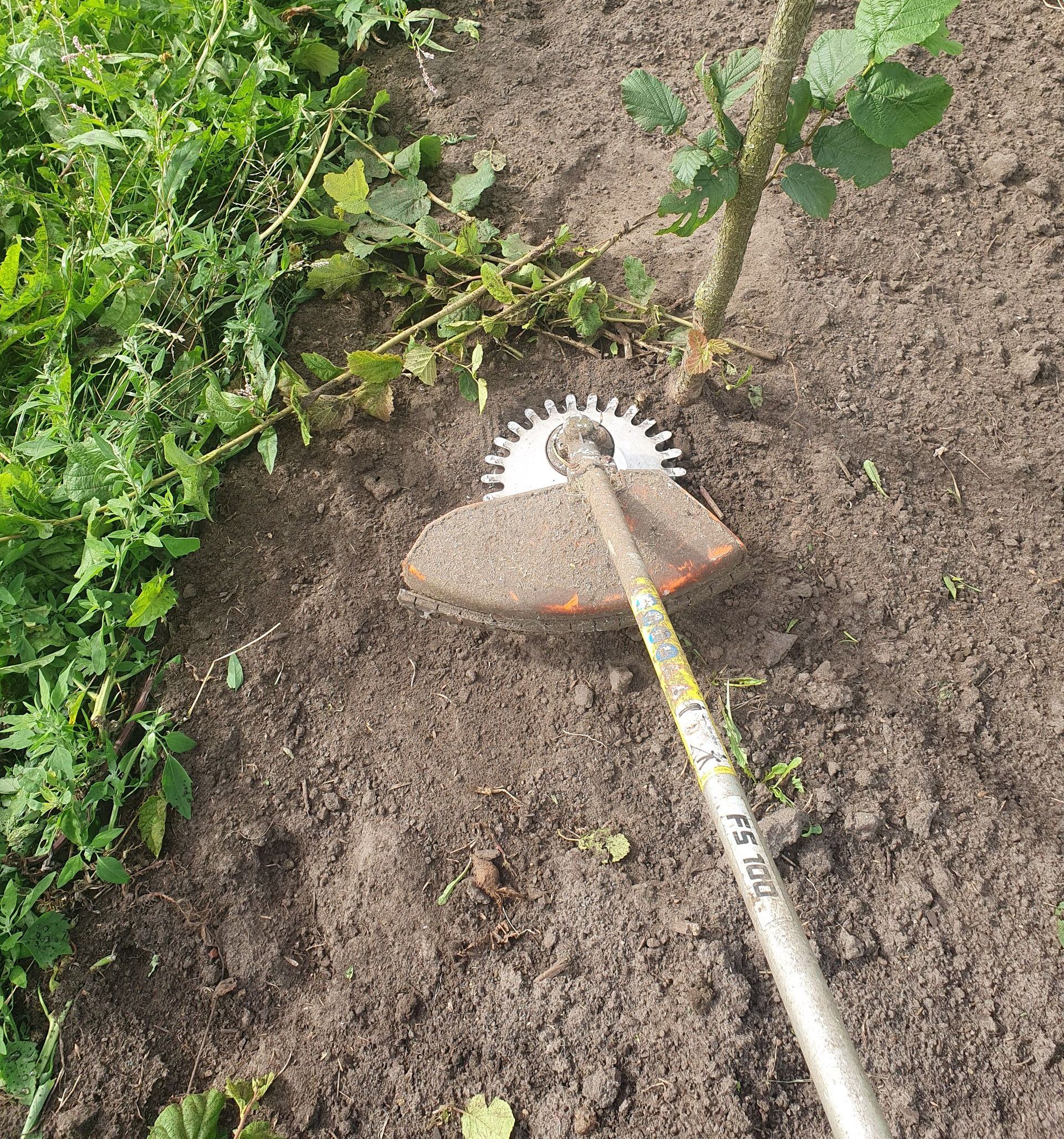 Een grastrimmer die onkruid maait in een tuinbed.
