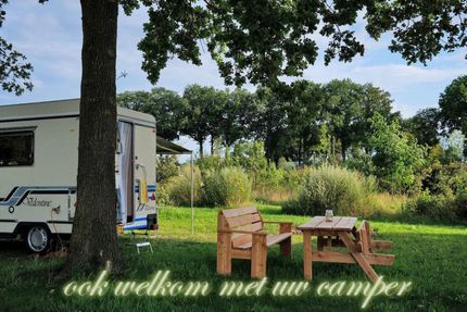 Camper geparkeerd onder een boom met houten meubels. Weelderig groene omgeving, zonnige dag. Tekst: 