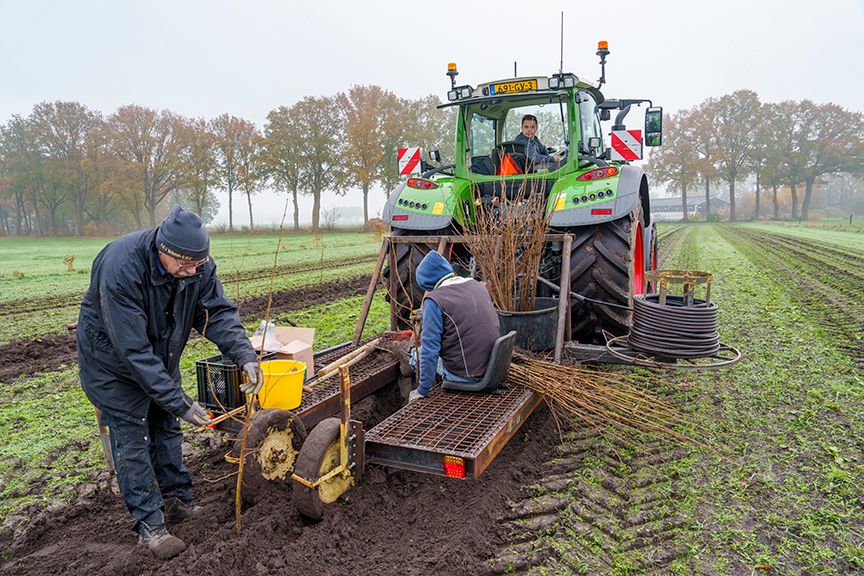 Mensen planten met een tractor jonge boompjes in een veld.