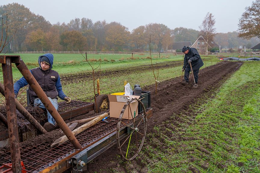 Twee mensen planten in een modderig veld. De ene bedient een machine, de andere graaft met een schop. Het is een bewolkte dag.