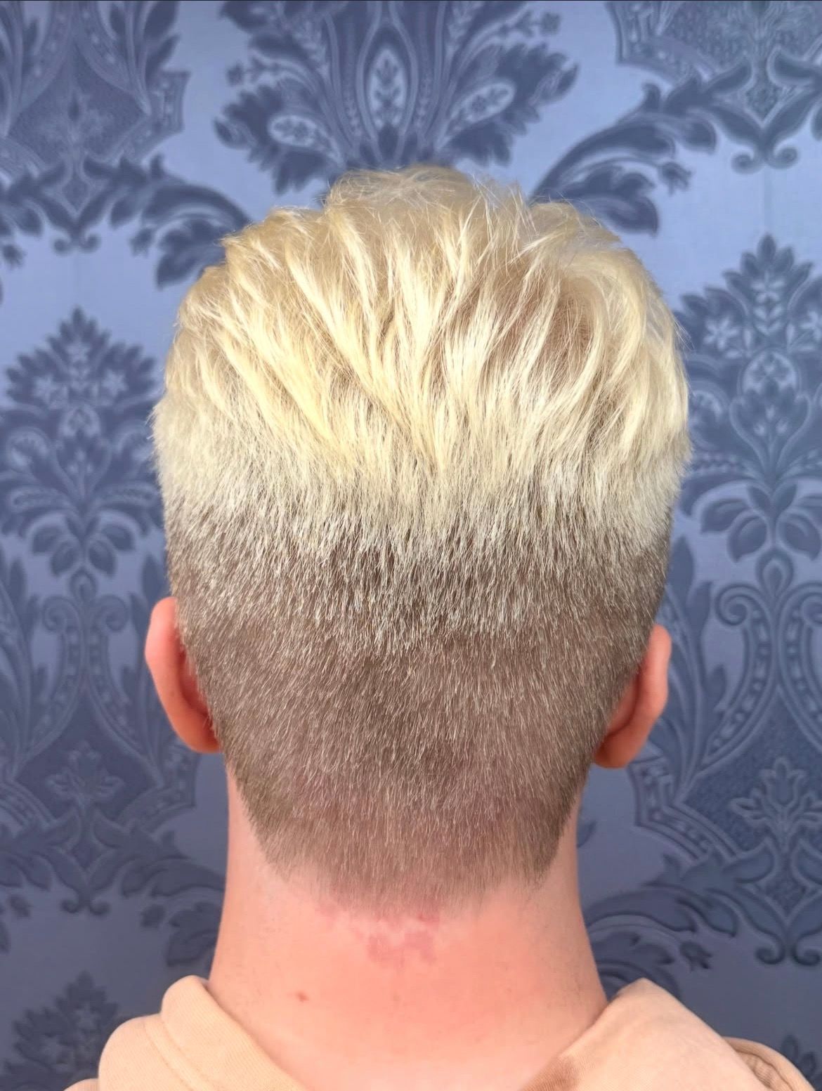 Back of head with short platinum-blonde hair fading to darker roots against a blue patterned background