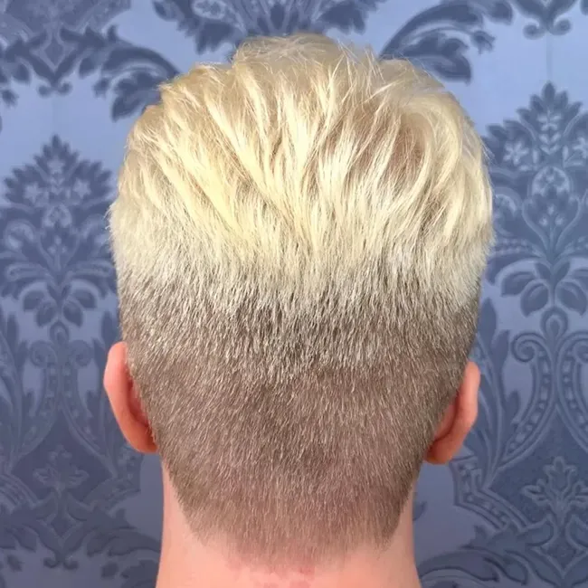 Back view of short platinum-blond hair fading into darker roots against blue patterned wallpaper