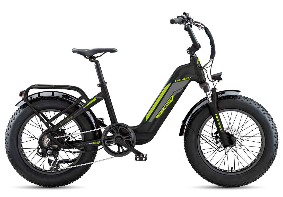 fatbike bici