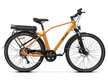 bici elettrica