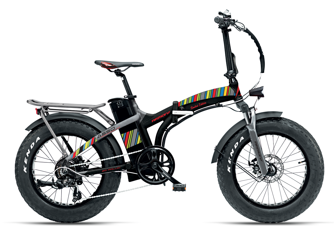 fatbike bicicletta