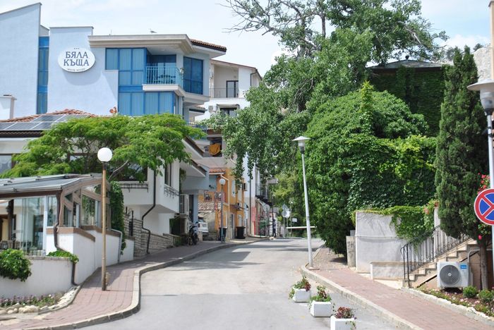 expats in varna