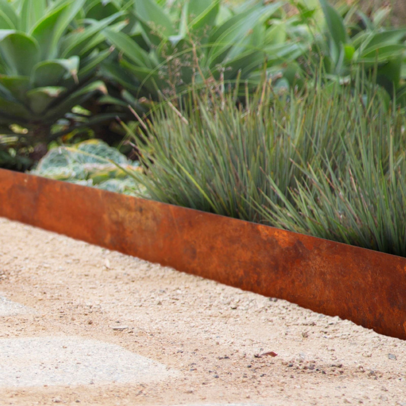 Rusty metal garden bed edging bordering sand and plants.