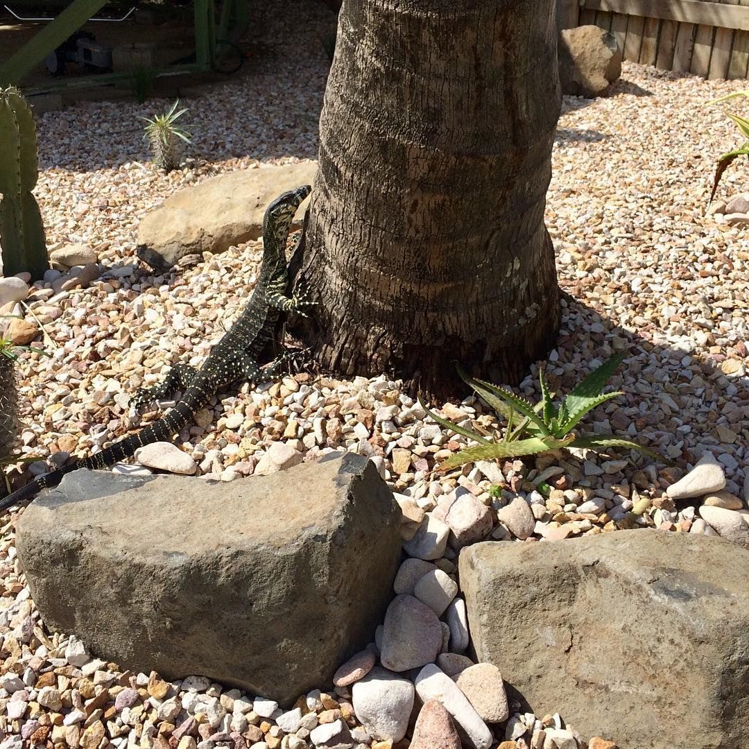 A Pile of Rocks is Sitting on the Ground — Caloundra Landscape Supplies in Caloundra, QLD