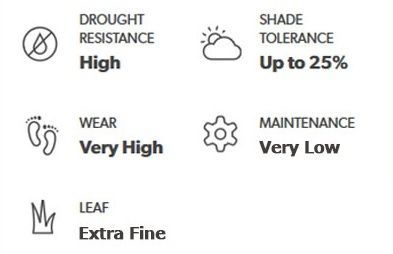 Infographic with icons and text about drought resistance, shade tolerance, wear, maintenance, and leaf texture of a plant.