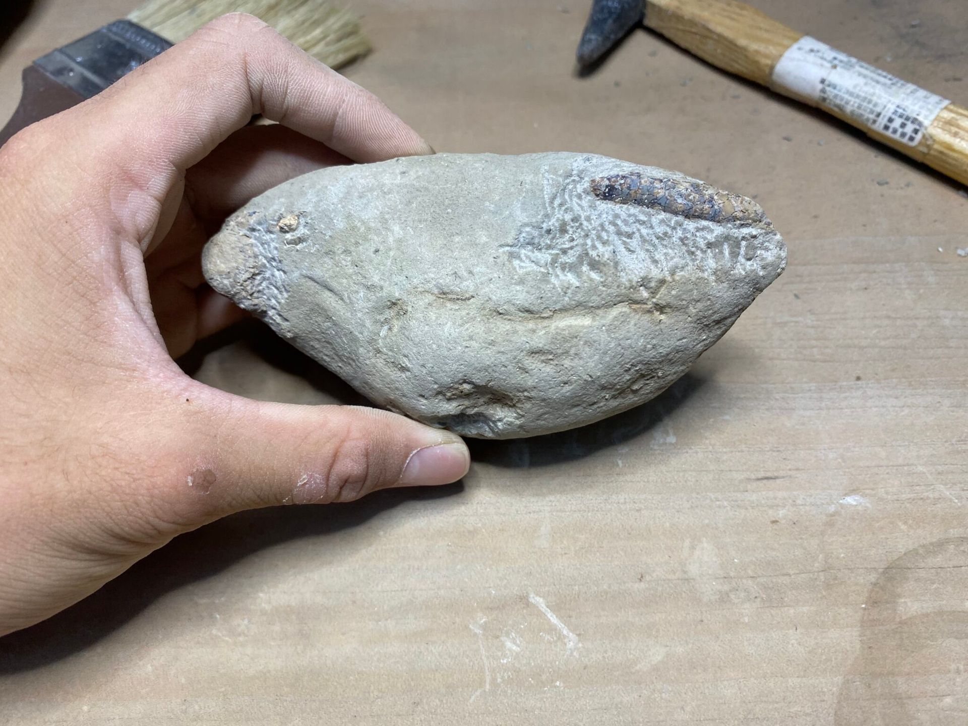 一隻手拿著一塊有紋理的淺灰色橢圓形石頭,石頭放在木桌上,旁邊還有一把刷子和一把鐵鎚。