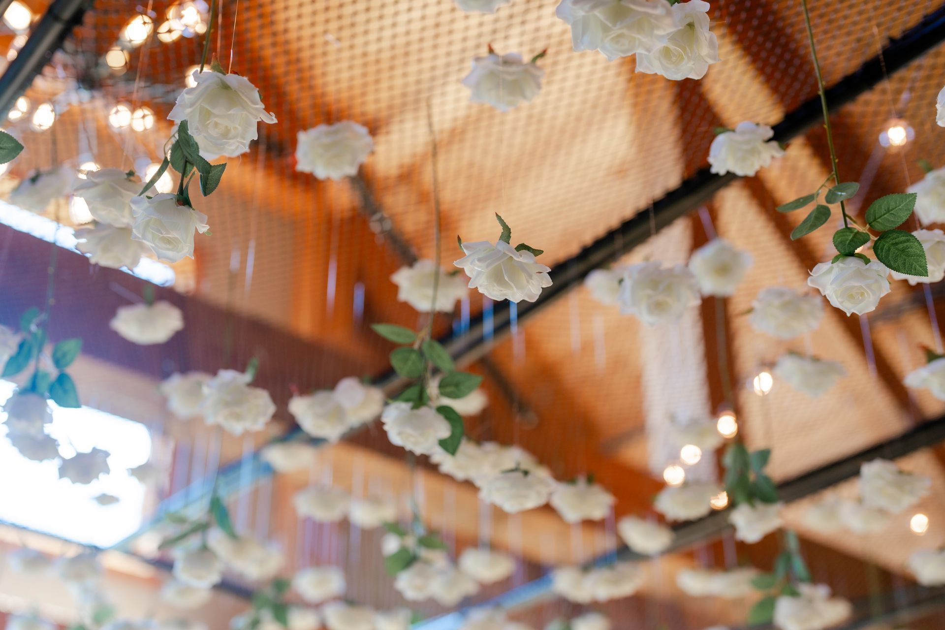 A bunch of white flowers are hanging from the ceiling.