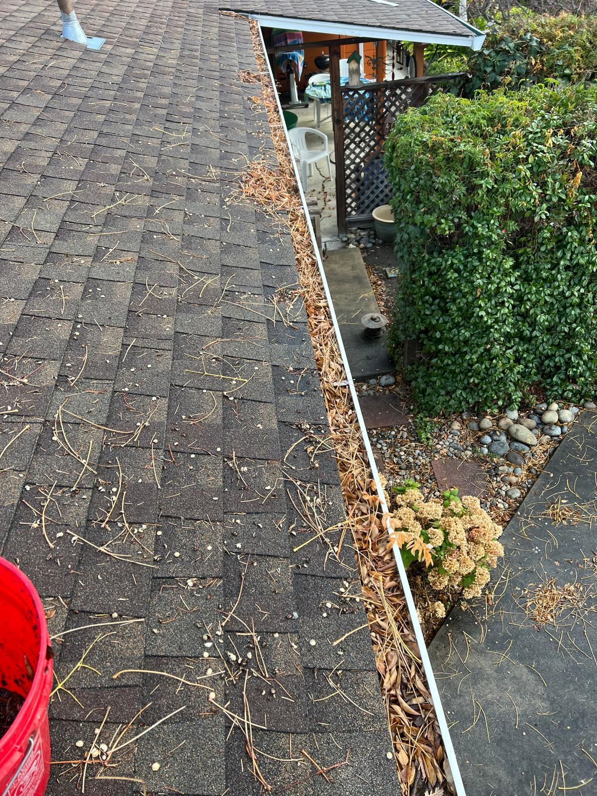 Rain-soaked shingle roof beside a hedge and narrow yard, with gutter debris and a worker’s boot visible.