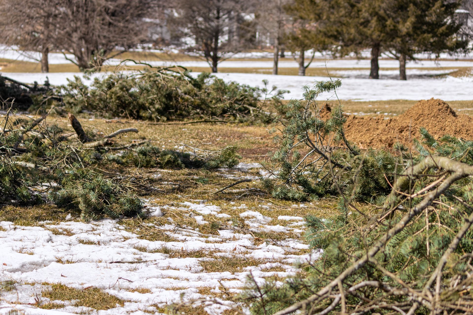 The Best Waste Disposal Burning System for Lease in Harrisburg