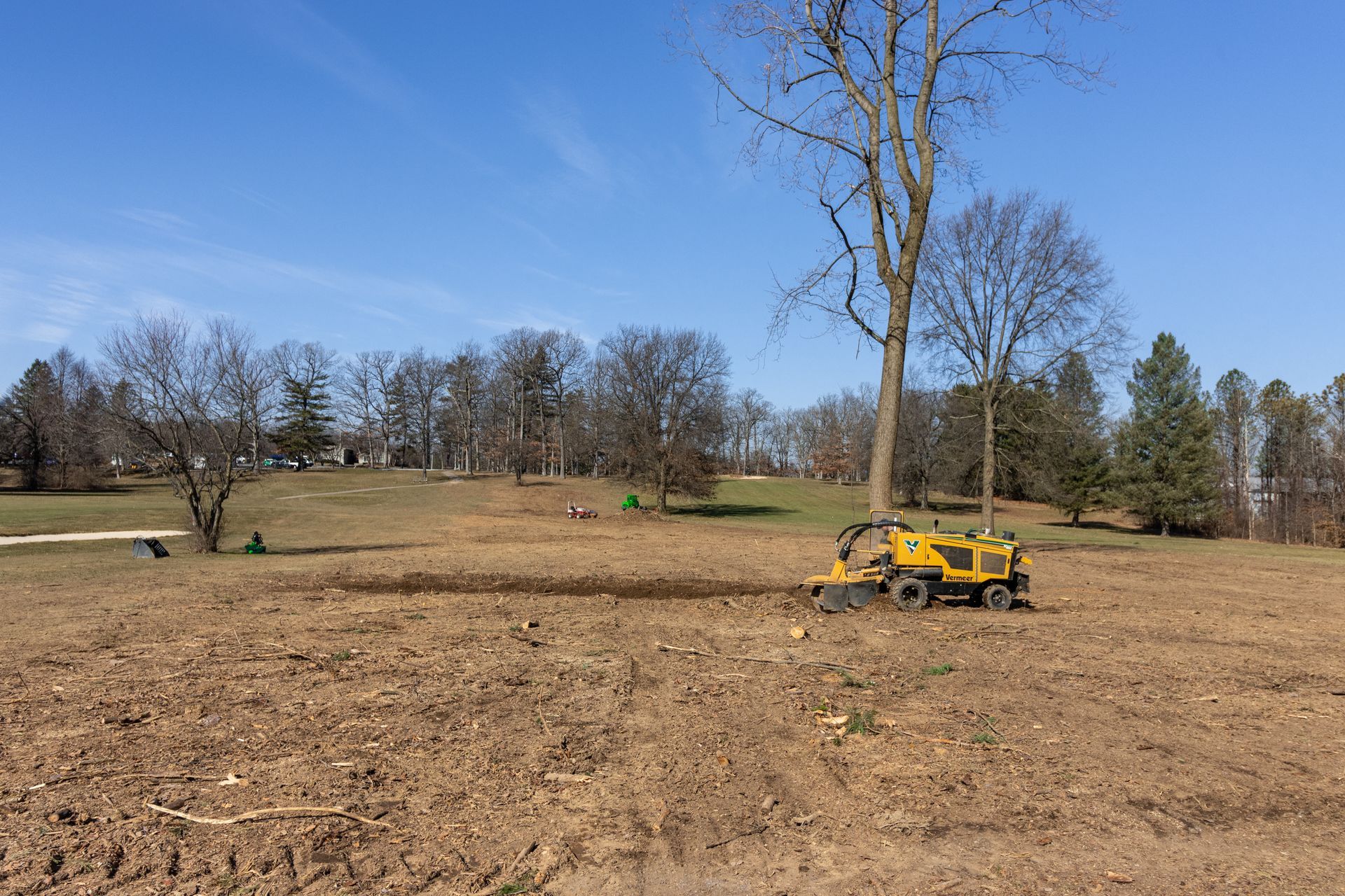 The best tree removal services in State College