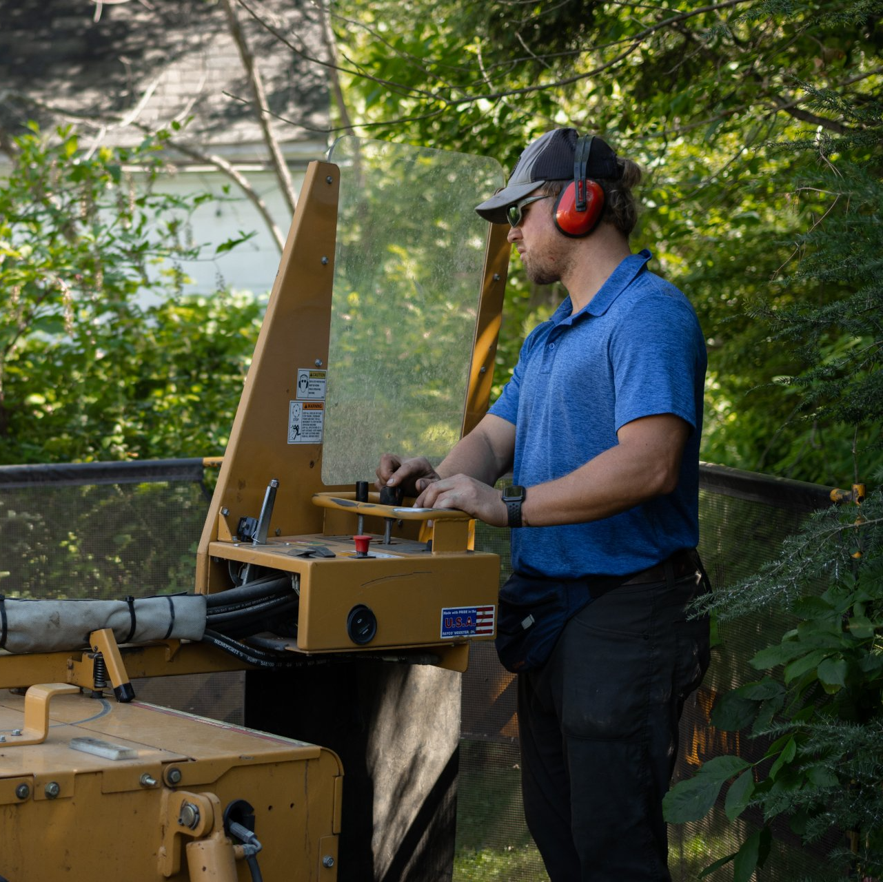 Stump Removal in York Pennsylvania