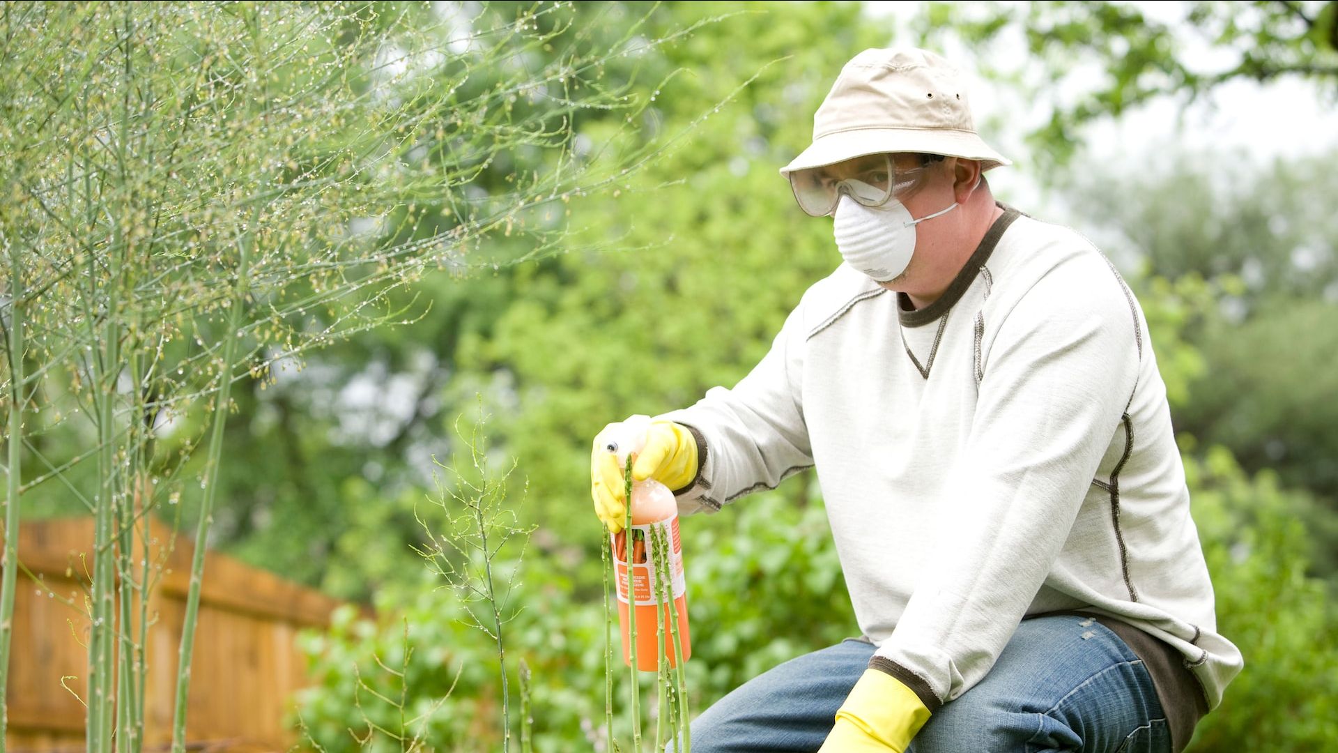 The Best Mechanicsburg Pest Control