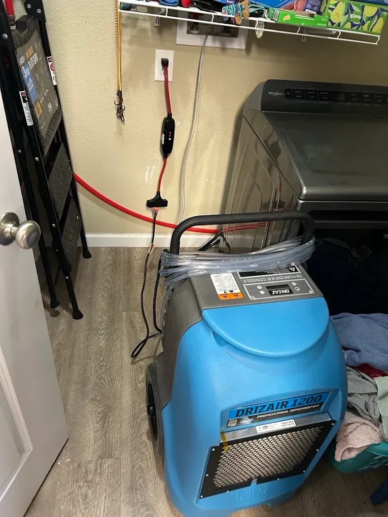 Blue dehumidifier in a laundry room with a dryer, clothes, and an outlet.