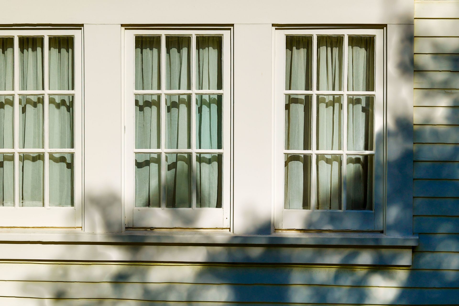 Three white-paned windows on a cream house wall with sunlight and tree shadows