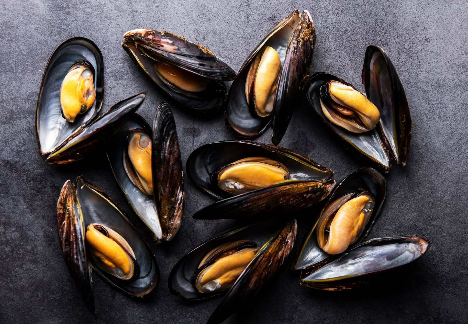 Mussels — Bakersfield, CA — Triple A Meat Sales Mussels — Bakersfield, CA — Triple A Meat Sales