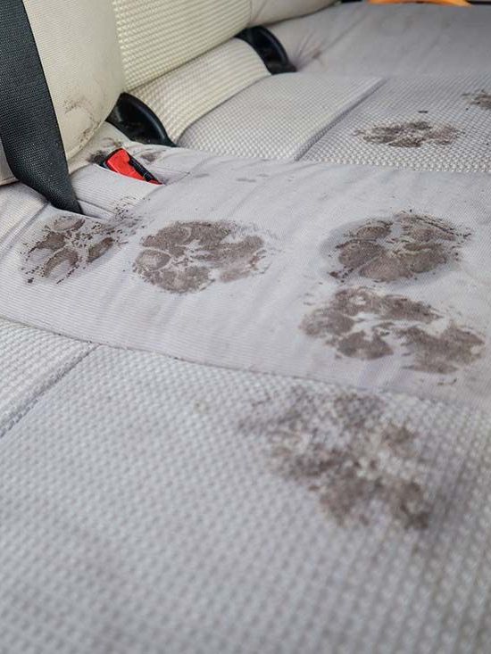 Car Interior Cleaning on Long Island by Bowa Carpet Cleaning