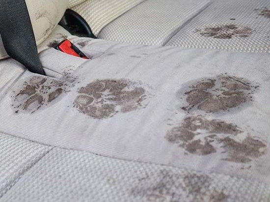Car Interior Cleaning on Long Island by Bowa Carpet Cleaning