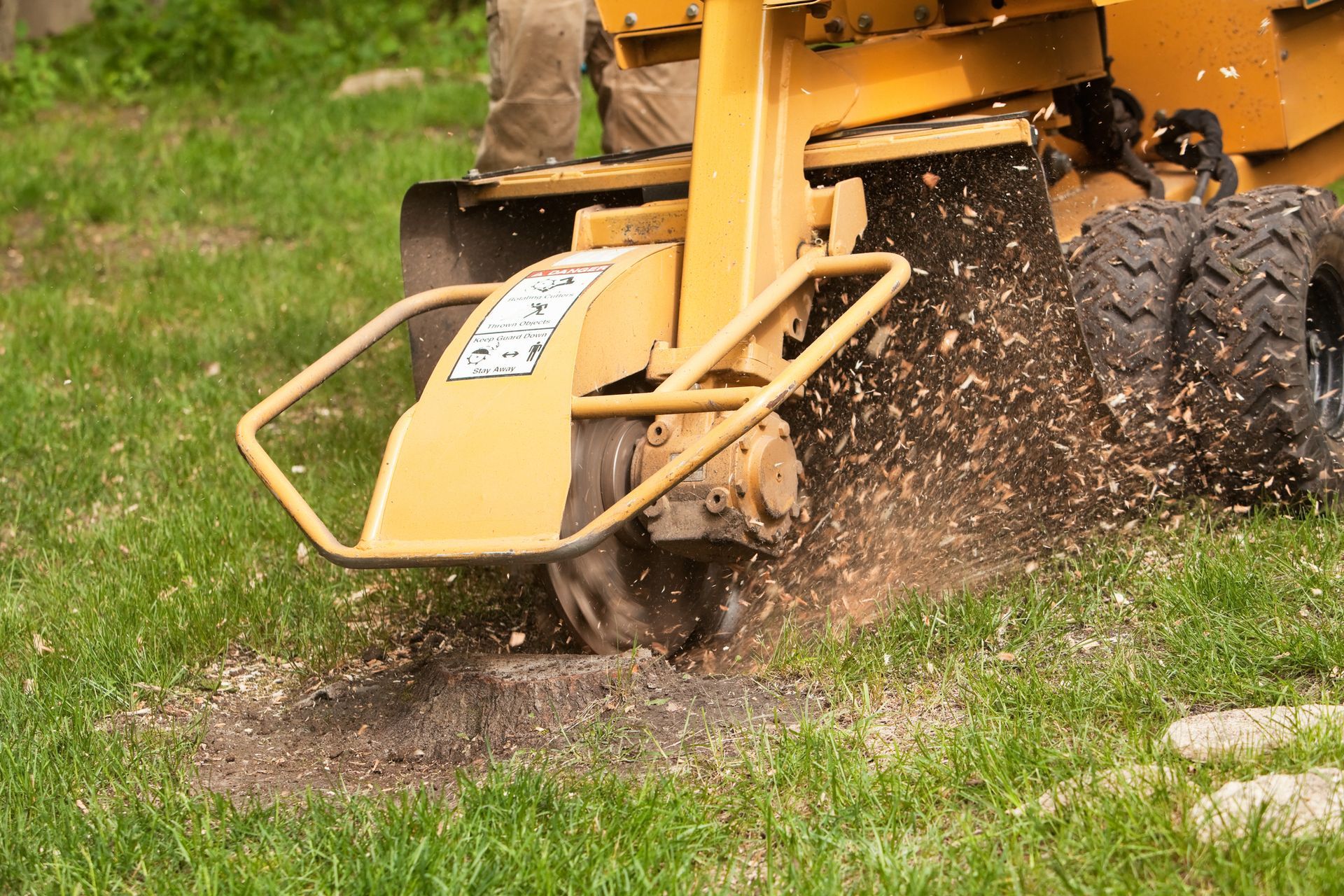 a person is using a stump grinder to remove a tree stump .