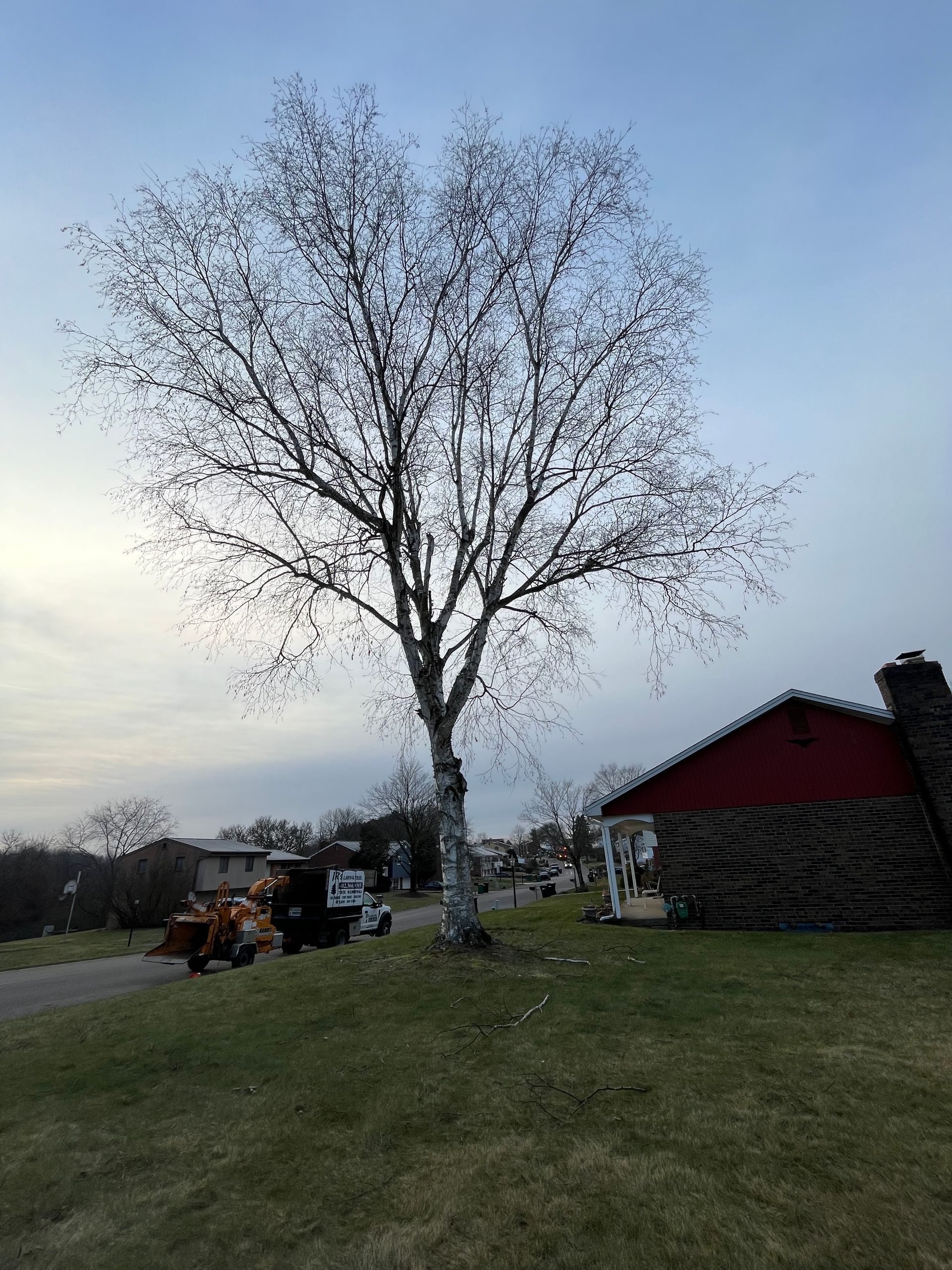 a tree with no leaves is in the middle of a grassy field in front of a red barn .