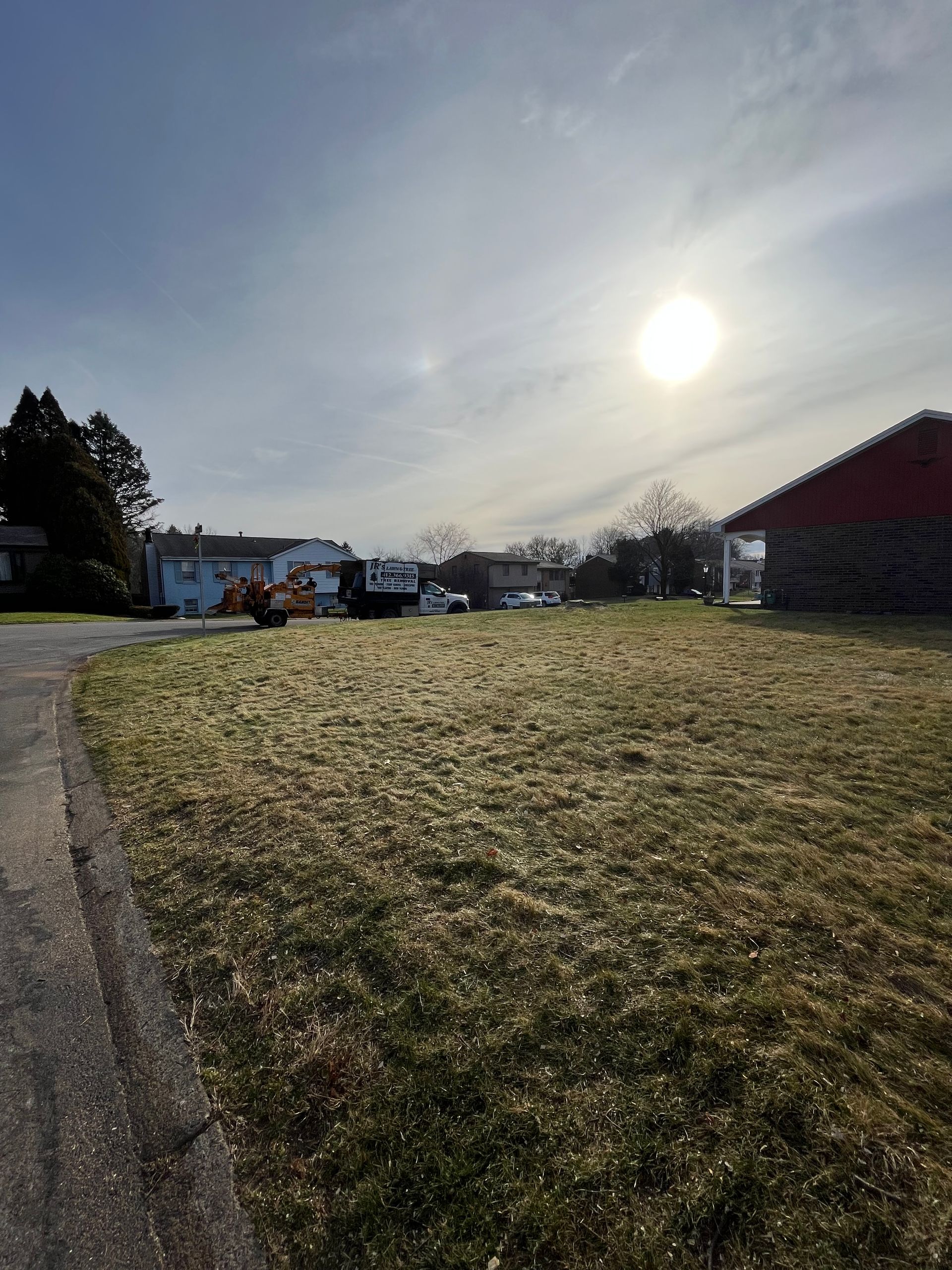 the sun is shining brightly over a grassy field .