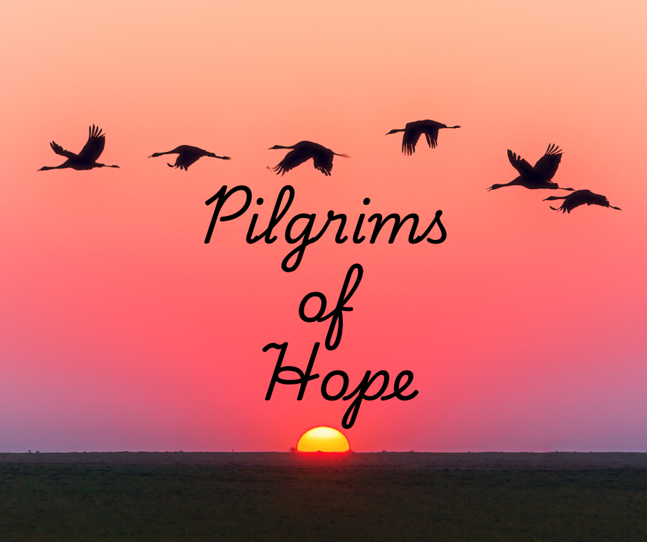 Silhouetted birds over a pink sunset with the words “Pilgrims of Hope” above the horizon