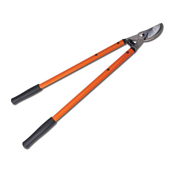 Loppers