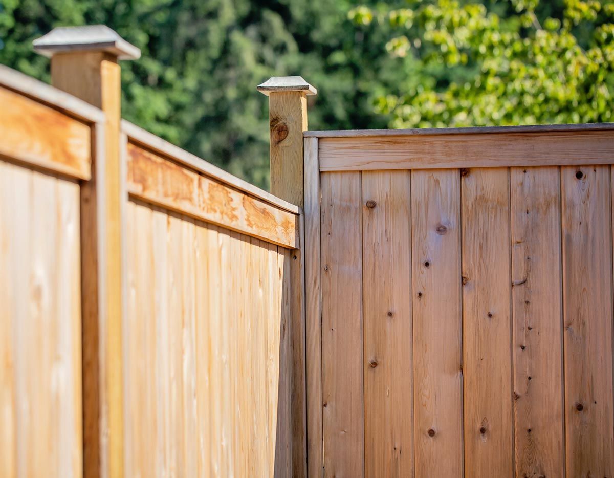 A close up of a wooden fence with trees in the background.