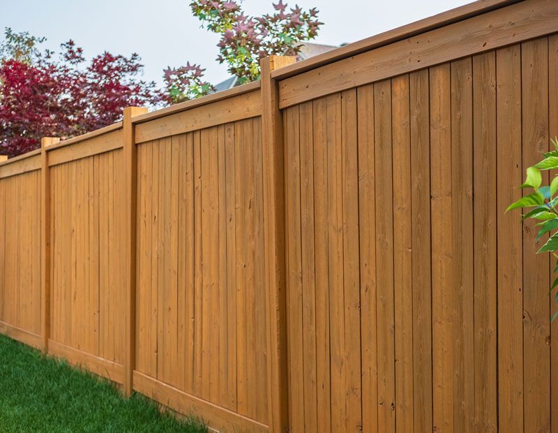 A wooden fence surrounds a lush green lawn in a backyard.
